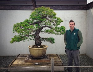 Bonsai2